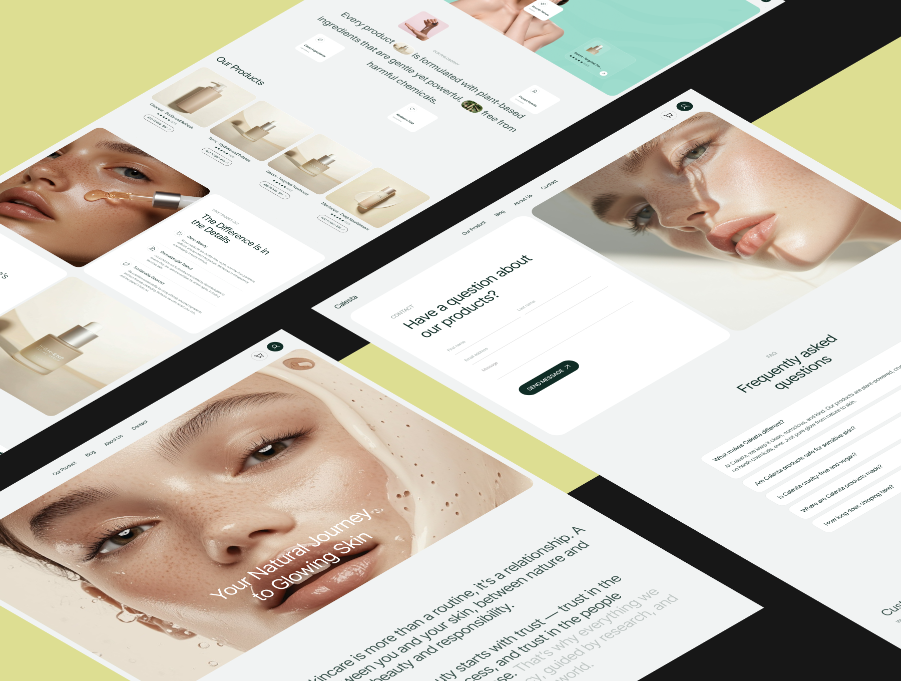 Skincare & Beauty Web UI Kit Screenshot 2
